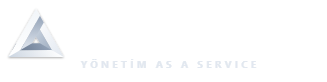 Intenteam